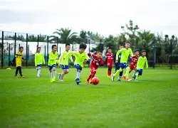 入门指南,揭秘去中心,化应用,万博体育平台,万博体育官方网站,万博体育登录入口,万博体育app下载