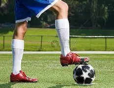 HK,中国生态旅,子公司洛图,万博体育平台,万博体育官方网站,万博体育登录入口,万博体育app下载