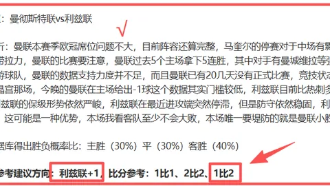 大乐透期号专家推荐：丹麦超对决质合分析及实力对比